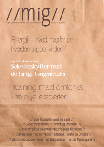 Skærmbillede 2015-03-12 11.12.43