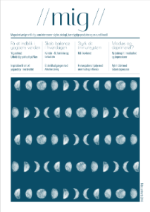 Skærmbillede 2016-02-01 kl. 11.19.03