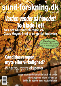 sund-forskning forside efterår 2013