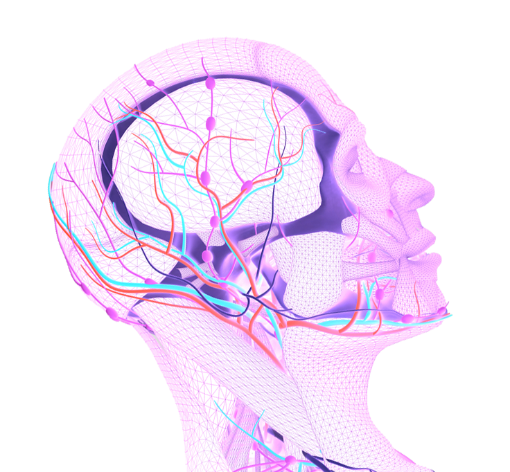 budbringer høj last Ny forskning i migrænemystikken -