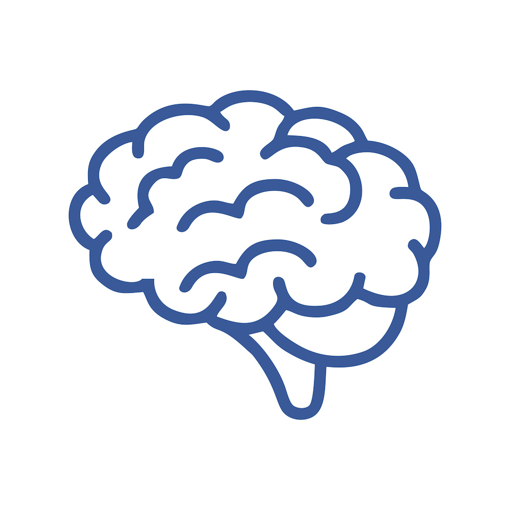 brain simple icon