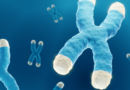 Telomere-kromosom