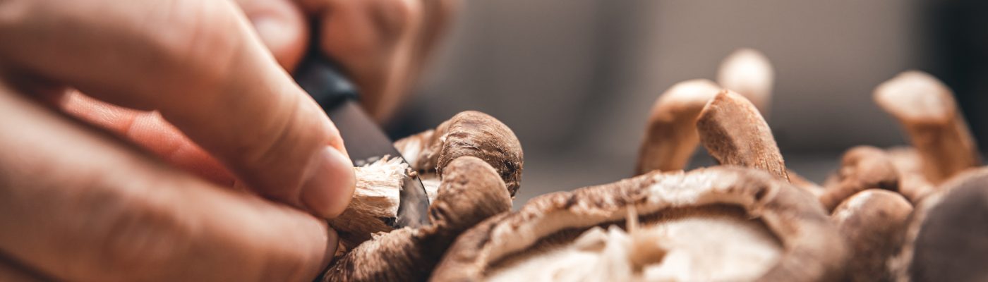 Cleaning and cutting shiitake mushrooms for a delicious meal, Lentinula edodes, closeup