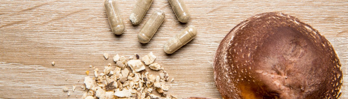 Shiitake Lentinus edoides mushroom supplement capsules with fresh Shiitake mushrooms and powdered on brown minimal background. Flat lay view, room for text.