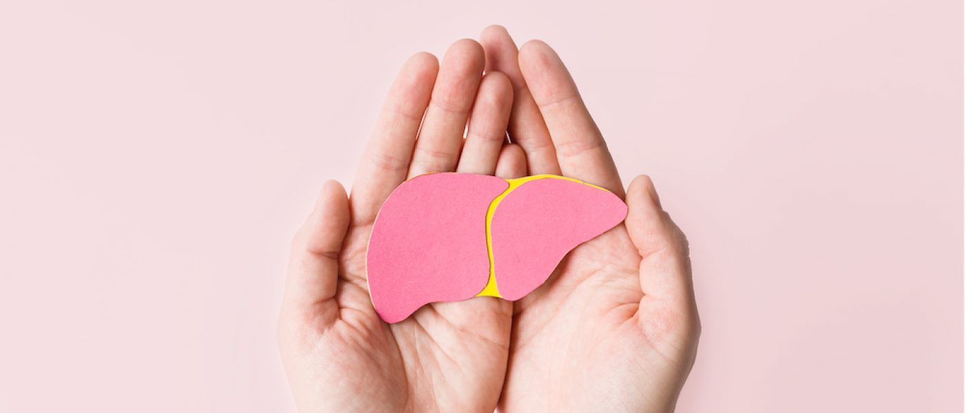 World hepatitis day. Adult hands holding donation liver on pink background. Awareness of prevention and treatment viral hepatitis. Liver cancer. World cancer day. copy space. banner.